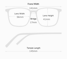 Load image into Gallery viewer, Palm Beach Tortoise Sunglasses