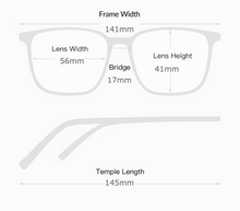 Load image into Gallery viewer, Palm Beach Tortoise Sunglasses
